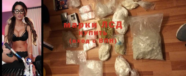 прущие грибы Абдулино