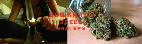 прущие грибы Абаза