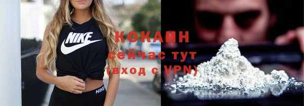 прущие грибы Абаза