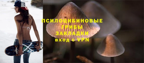 прущие грибы Абаза