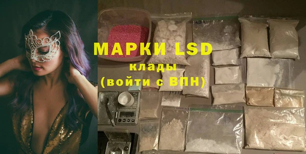 прущие грибы Абаза