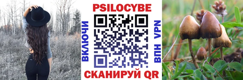 дарнет шоп  Сокол  Галлюциногенные грибы ЛСД 