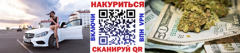 Канабис план Сокол